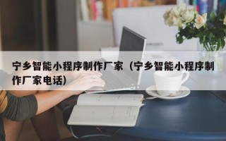 攀枝花宁乡智能小程序制作厂家（宁乡智能小程序制作厂家电话）