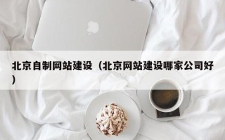 攀枝花北京自制网站建设（北京网站建设哪家公司好）